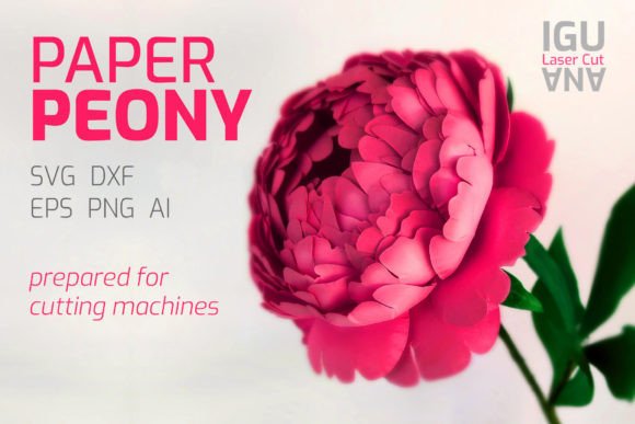 Download 3d Paper Flowers Peony SVG Template DIY - Premium Resources